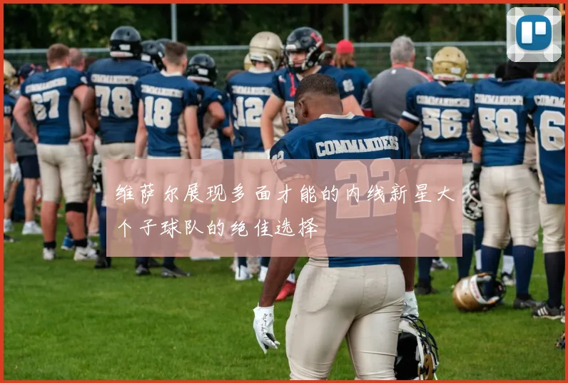 维萨尔展现多面才能的内线新星大个子球队的绝佳选择