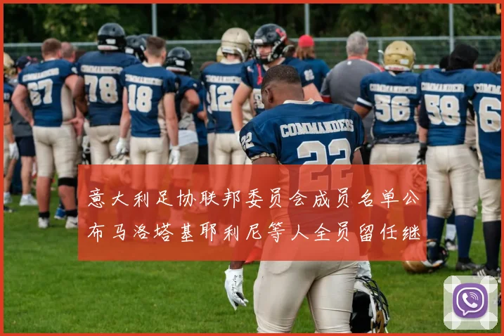 意大利足协联邦委员会成员名单公布马洛塔基耶利尼等人全员留任继续服务